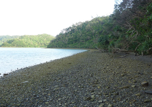 a0050227_14521998.jpg
