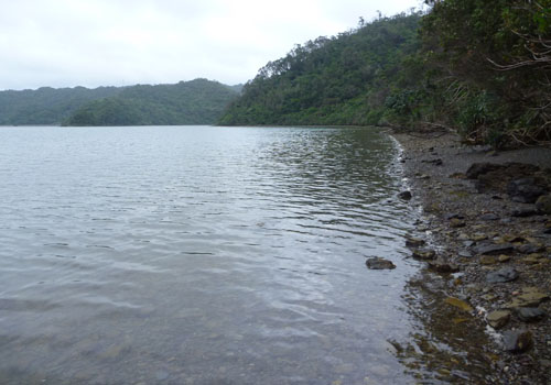 a0050227_1452545.jpg