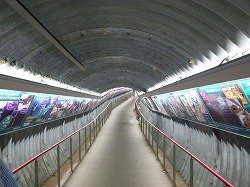 d0086228_1416249.jpg