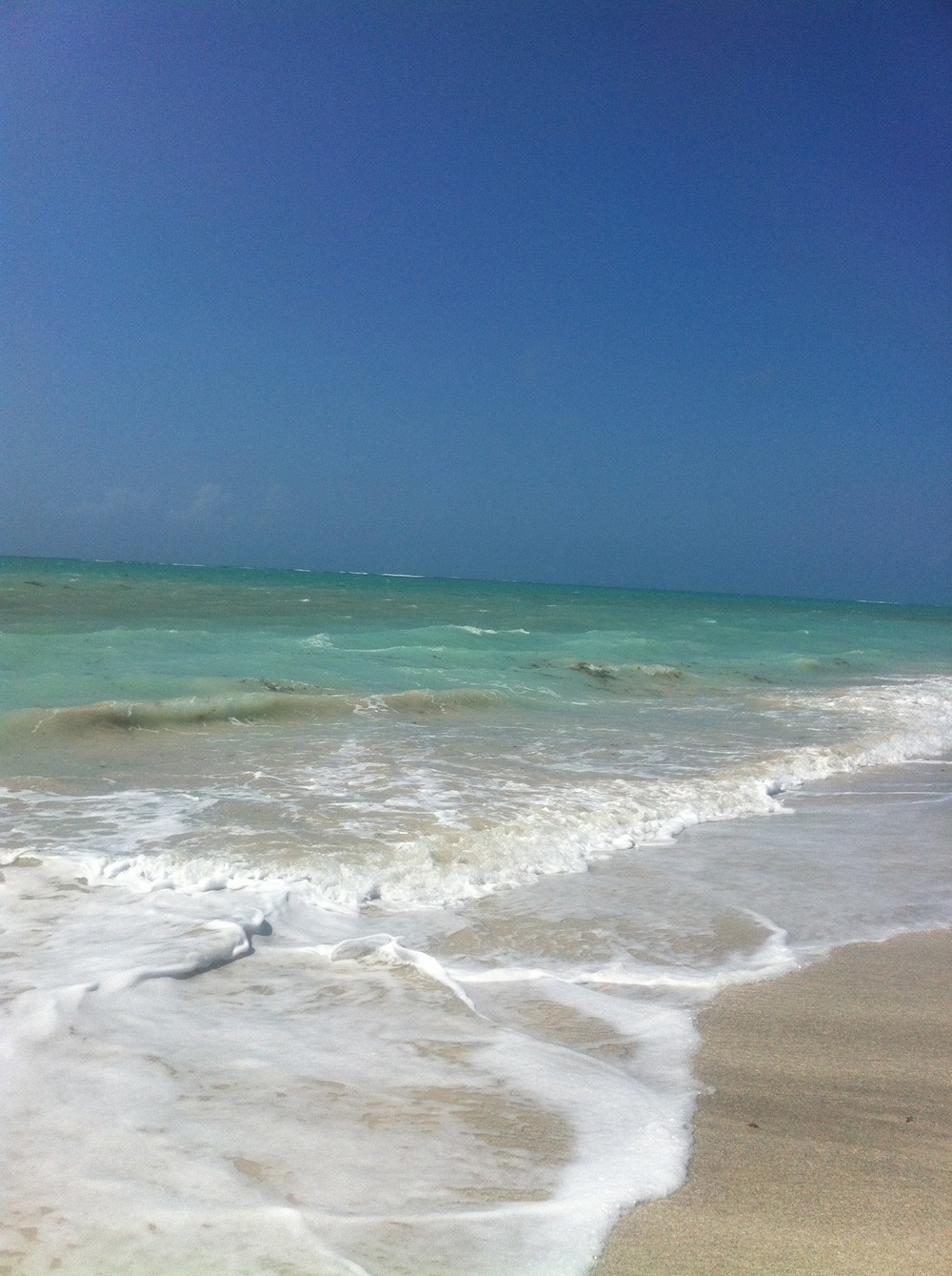 f0169328_6515959.jpg