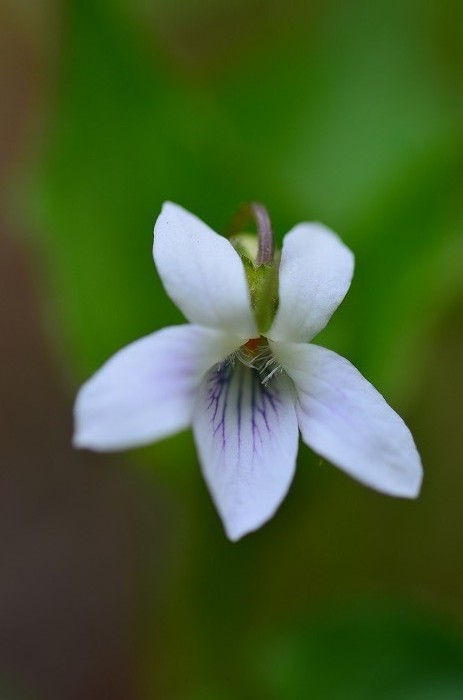 b0236334_20542384.jpg