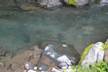 e0228938_17345371.jpg