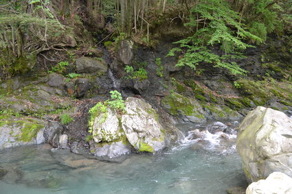 e0228938_17352344.jpg