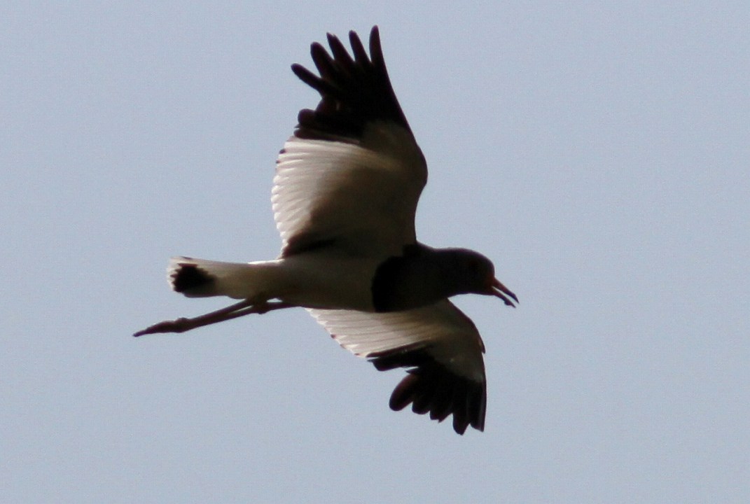 c0172139_1121820.jpg