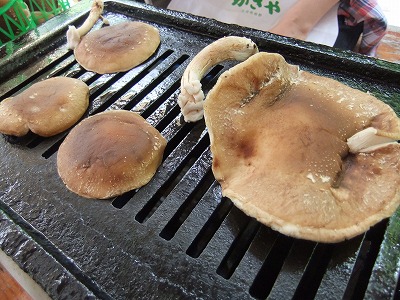 e0173645_858309.jpg