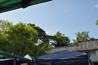 d0177849_22585688.jpg