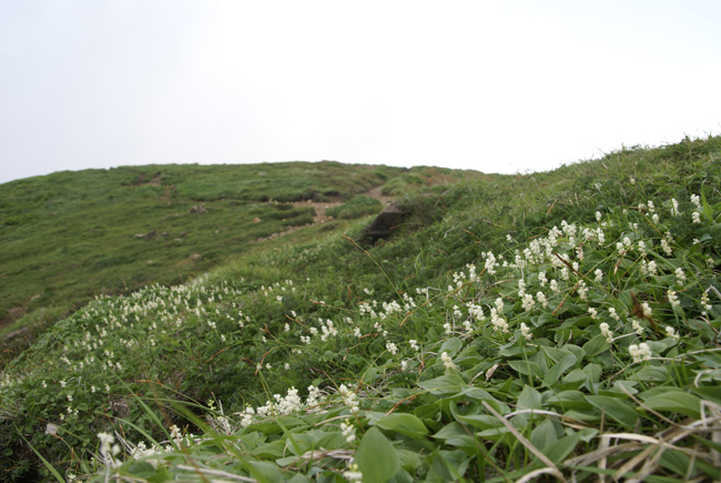 f0214649_20463194.jpg