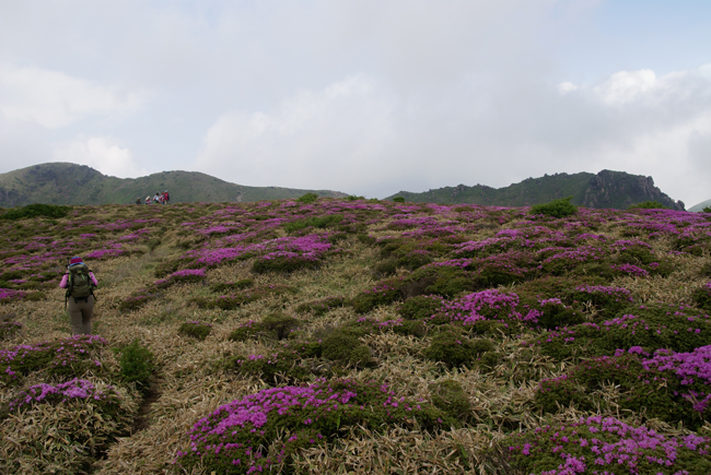 f0214649_20553280.jpg
