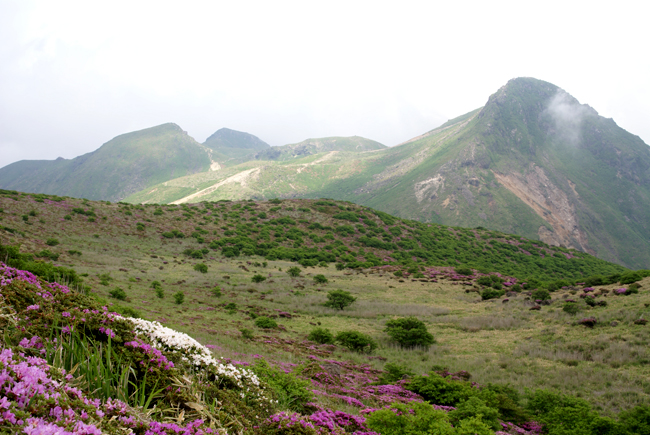 f0214649_20583396.jpg