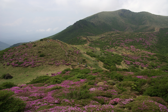 f0214649_213181.jpg