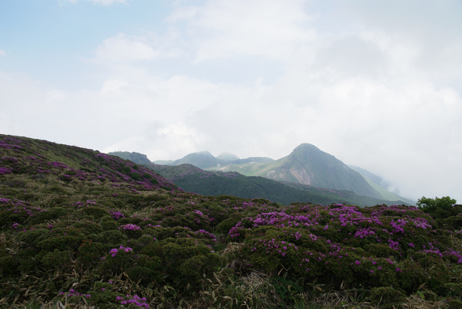 f0214649_2144860.jpg