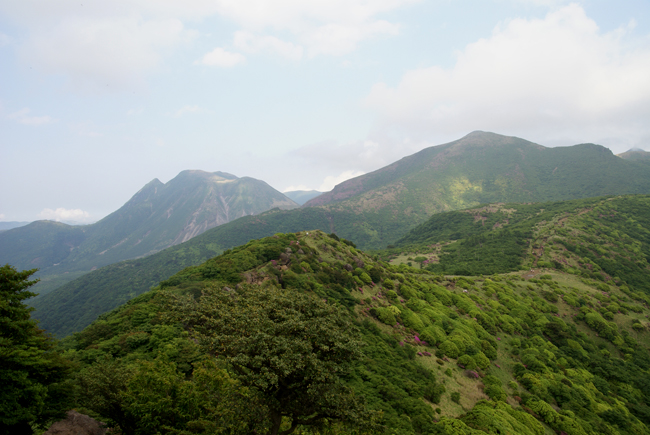 f0214649_2184730.jpg