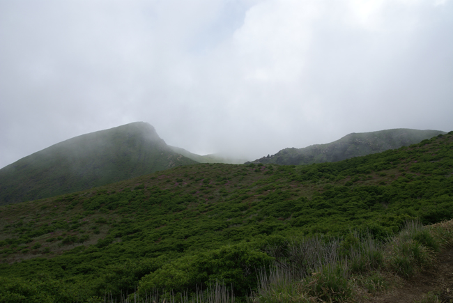 f0214649_652382.jpg