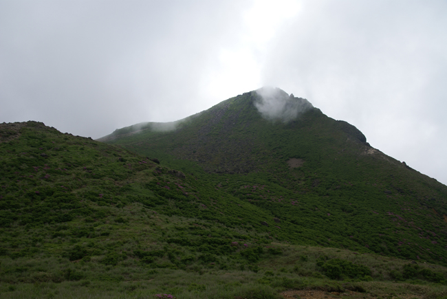 f0214649_6542327.jpg