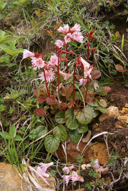 f0214649_656515.jpg