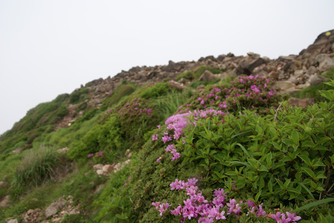 f0214649_6591211.jpg