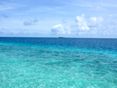 f0190653_13144338.jpg