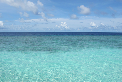 f0190653_13145260.jpg