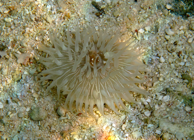f0190653_13413092.jpg