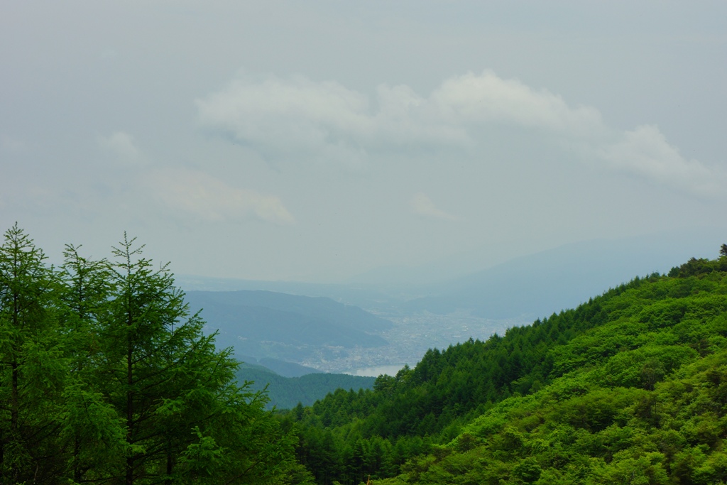e0223456_93485.jpg