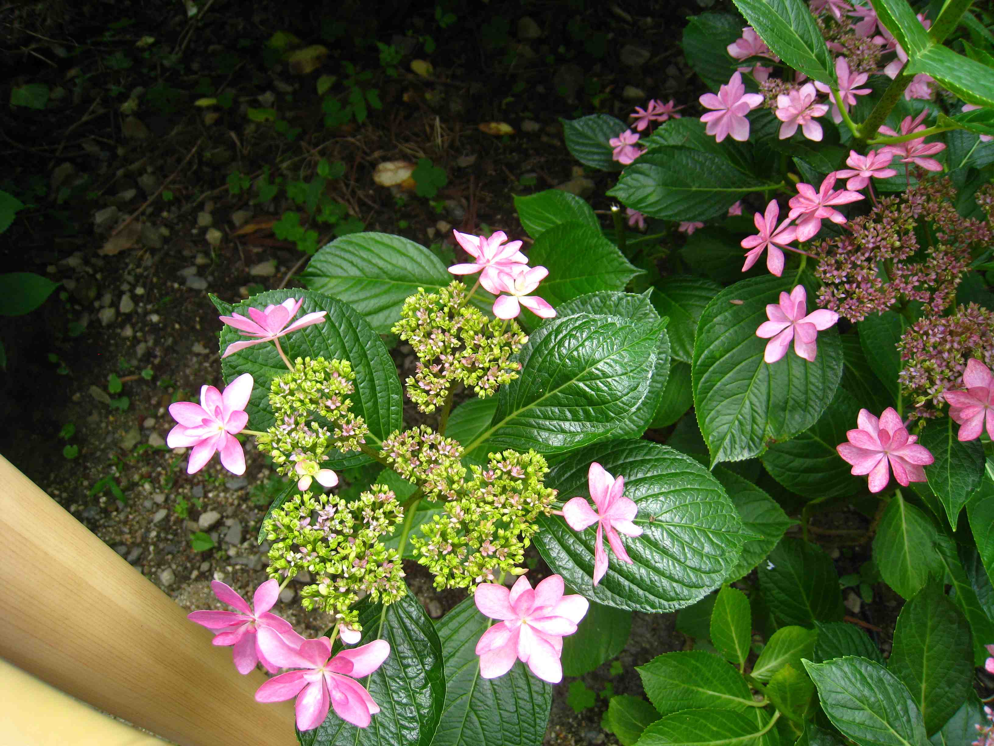 f0233356_1037622.jpg