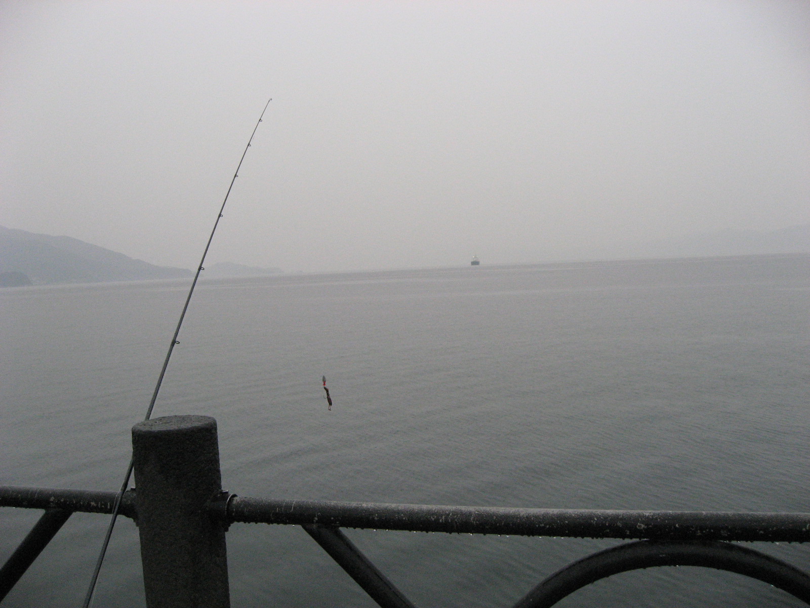 d0254257_8592730.jpg