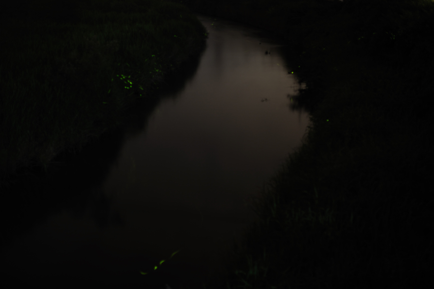 e0216857_16335395.jpg