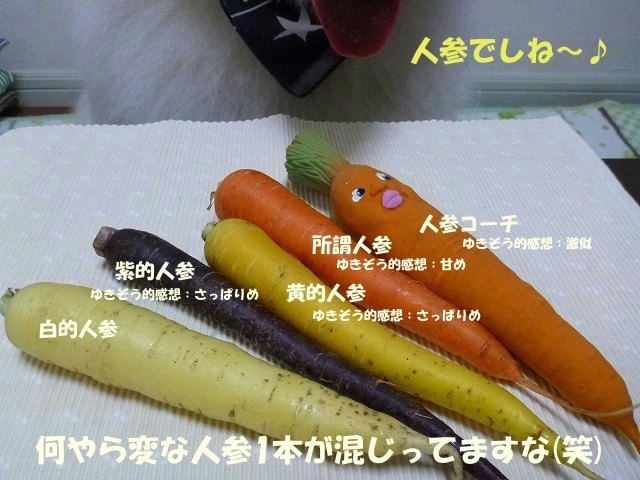 e0176159_10523032.jpg