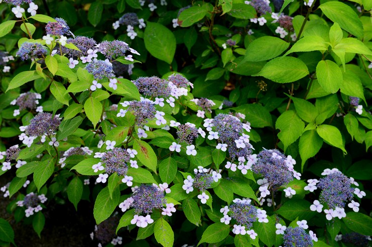 f0222161_2184235.jpg