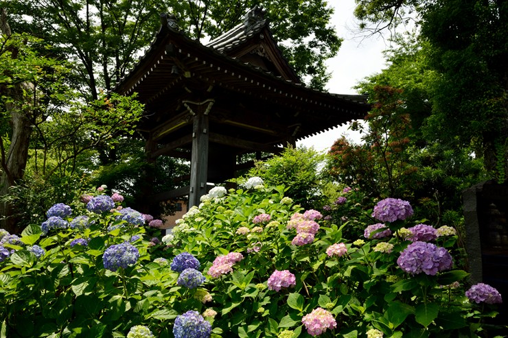 f0222161_2184714.jpg