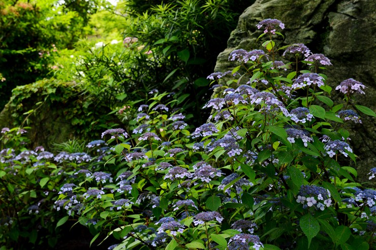 f0222161_2185394.jpg