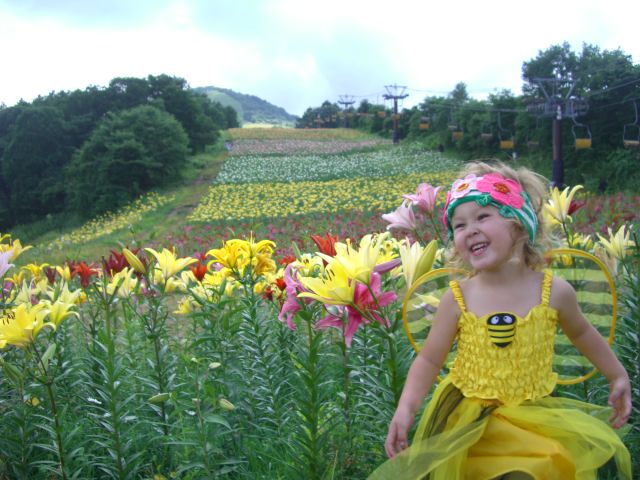 d0258462_915354.jpg