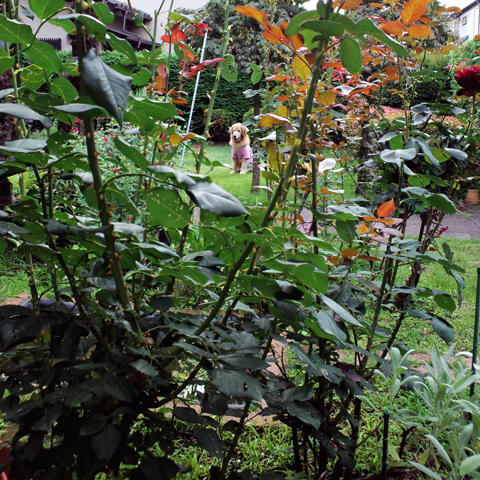 b0134364_22161935.jpg