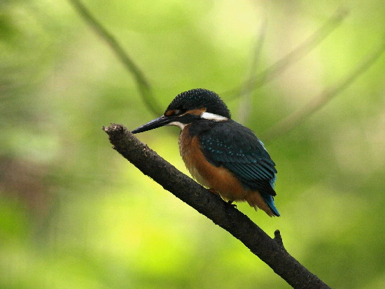 f0208666_1946153.jpg