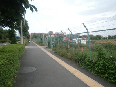 c0112172_1743630.jpg