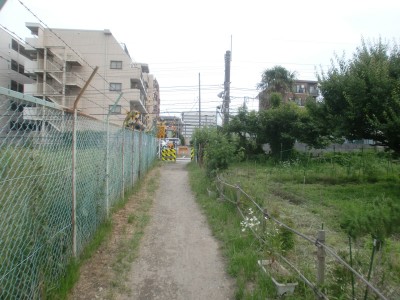 c0112172_174466.jpg