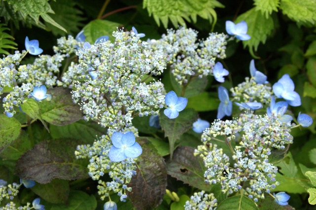 c0248473_10231237.jpg