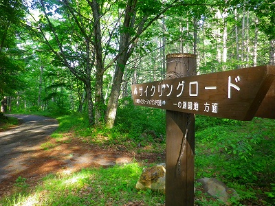 f0182173_12345489.jpg
