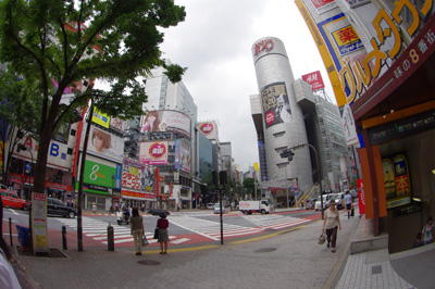 b0056983_11425226.jpg