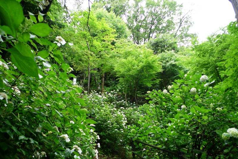 a0127090_23143718.jpg