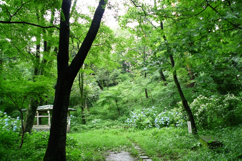 a0127090_23191741.jpg