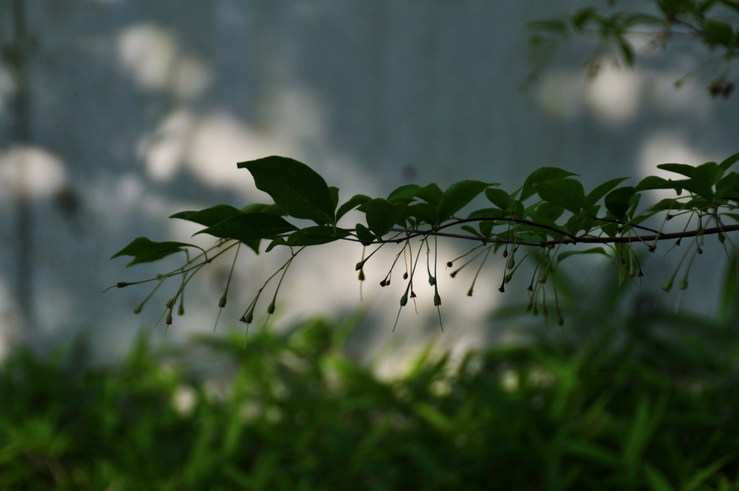 c0246290_22453445.jpg