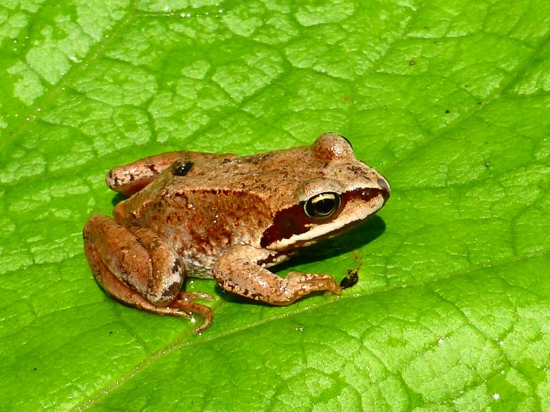 e0202393_16444254.jpg