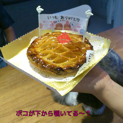 b0237894_84122.png