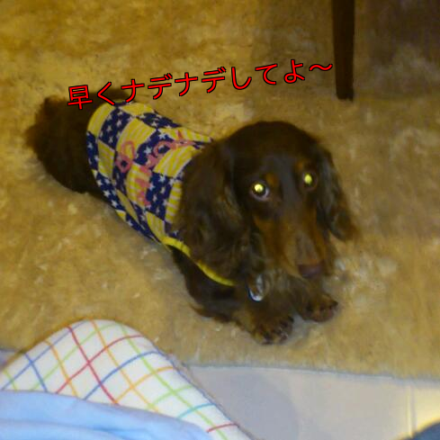b0237894_8462484.png