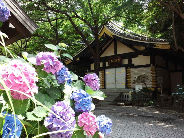 f0077595_1331194.jpg