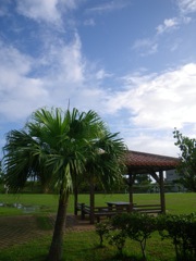 c0193396_10343050.jpg