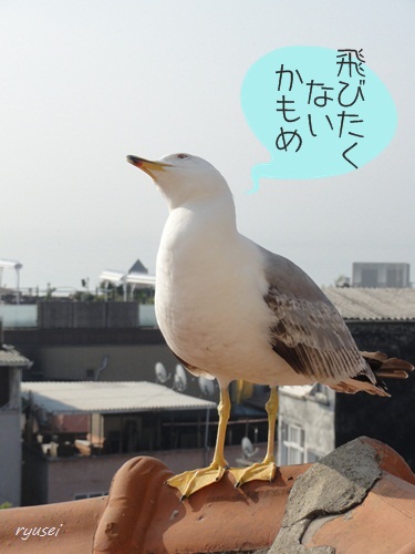 f0053297_1374624.jpg