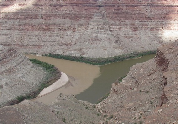 c0072801_351594.jpg