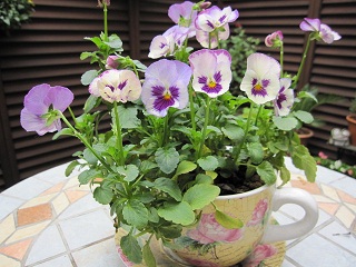 c0152002_1724796.jpg
